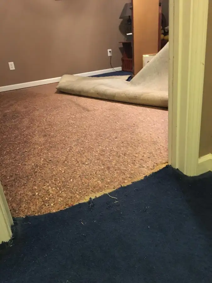 Carpet pad removal revealing water damage during Drying & Dehumidification in Ocala