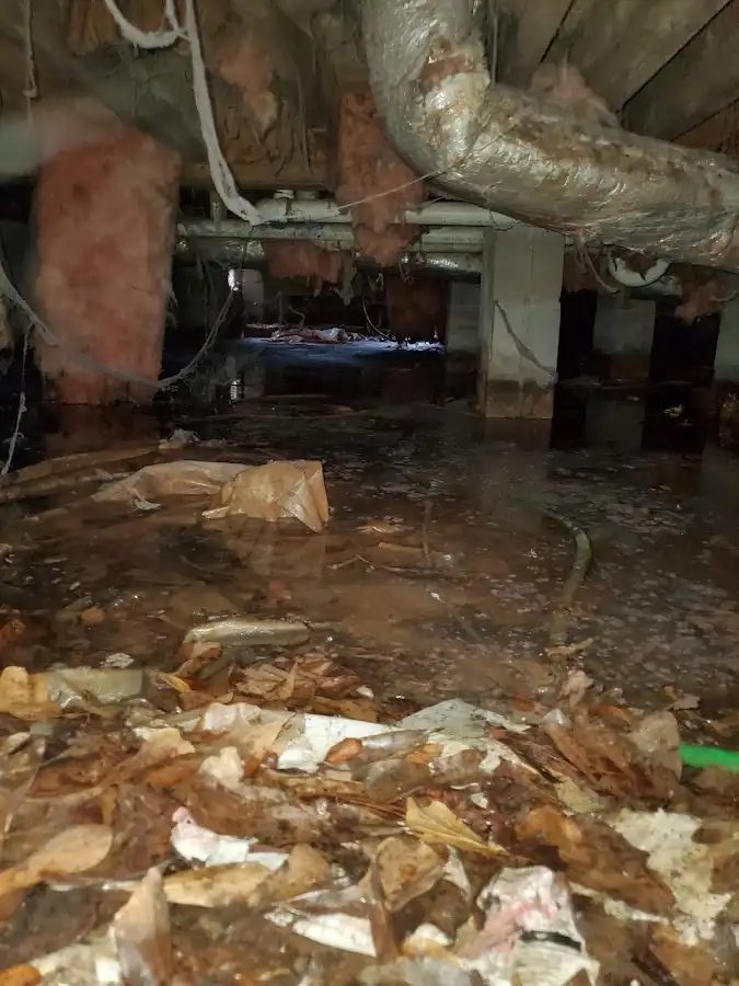 Crawl space flood assessment for Leak Detection & Repair in Ocala
